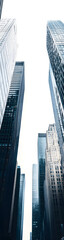 Fototapeta premium City skyline dominated by towering buildings of major financial institutions vertical banner - wide skyscraper - white background