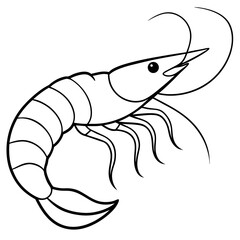 Minimal Shrimp Sketch