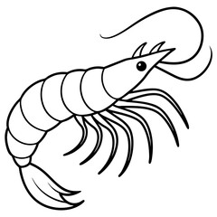 Obraz premium Minimal Shrimp Sketch