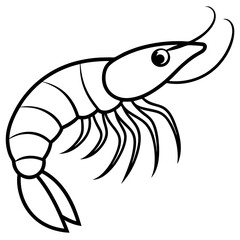 Minimal Shrimp Sketch
