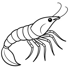 Minimal Shrimp Sketch