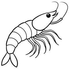 Minimal Shrimp Sketch