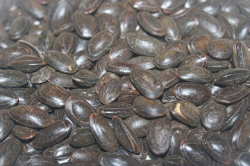 Shiny Brown Kedawung (Parkia javanica) Seeds Close-Up