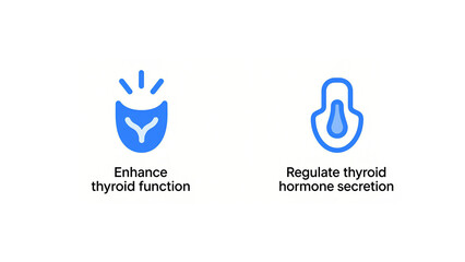 Fototapeta premium The blue thyroid related icon represents the concept of enhancing thyroid function and regulating hormone secretion, suitable for thyroid health and endocrine regulation scenarios.