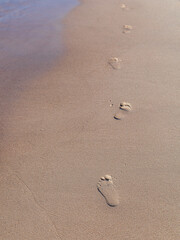 A trail of small barefoot footprints leads across smooth wet sand toward the sea — a quiet symbol of presence, movement, and fleeting moments under the gentle light of a summer shore.