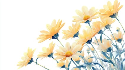 Pastel yellow daisies in a bouquet