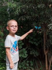 Curious boy points at a bright blue butterfly in a lush green garden. Surrounded by nature, he...