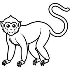 Minimal Spider Monkey Vector
