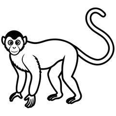 Minimal Spider Monkey Vector