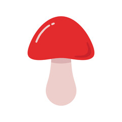 Mushroom flat minimal vector illustration, simple edible fungi icon, healthy food, modern design element

