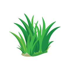 Green grass clump flat minimal vector illustration, simple lawn element, fresh nature design icon

