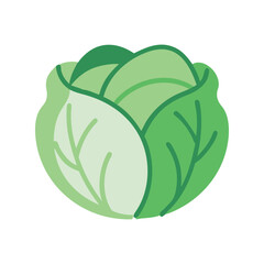 Cabbage flat minimal vector illustration, simple green leafy vegetable icon, healthy food design element

