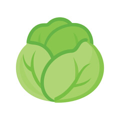 Cabbage flat minimal vector illustration, simple green leafy vegetable icon, healthy food design element

