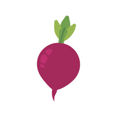 Beetroot flat minimal vector illustration, simple root vegetable icon, healthy food, modern design

