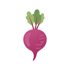 Beetroot flat minimal vector illustration, simple root vegetable icon, healthy food, modern design

