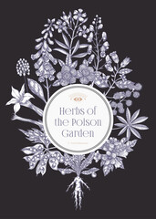 Witchcraft book cover design. Poisonous plants hand-drawn vector illustration. Witch's Herbs Apothecary vintage frame, card, invitation, print. NOT AI generated