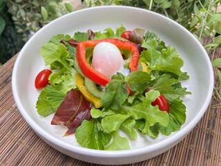Crystal Ice Plant with bell peppers and soft boiled egg salad