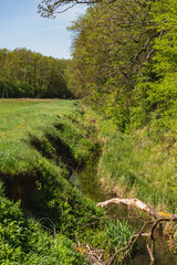 canal draining water in the neighborhood of forest and meadow