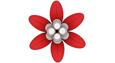 Isolated Red Flower