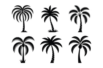 Set of Black Palm Tree Silhouettes Vector Illustration Isolated on White Background for Summer Tropical Design and Beach Themes