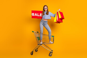 Young fashionable woman standing on a shopping cart holding bags and sale sign against vibrant...