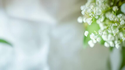 Elegant manicure with white nails and delicate flowers for a relaxing spa day