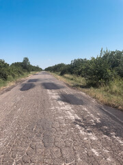 Cracked and patched road leading into overgrown wilderness. The concept of societal neglect, decay...