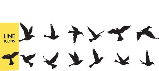 Fototapeta premium Duck Silhouette Vector Set - Black Duck Outlines for Nature Logos, Hunting Decals & Nursery Wall Art - Isolated on White