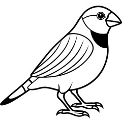 Monoline Zebra Finch Bird Design