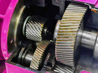 Detailed view of gears inside a mechanical device showing intricate design and functionality