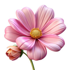 Pink Cosmos Flower Botanical 3 D Render Soft Petals Detailed Bloom Bud Stem Isolated on a transparent background
