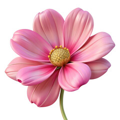 Pink Cosmos Flower Botanical 3 D Render Soft Petals Detailed Center Isolated on a transparent background