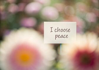 Soft focus flowers with handwritten quote card reading I choose peace create calming, inspirational scene, evoking tranquility and mindfulness in natural garden setting