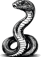 Fototapeta premium Majestic Cobra Silhouette: Editable Vector Illustration, Intricate Line Art, Powerful and Elegant Design, Perfect for Print or Digital Use, High-Resolution Graphic.