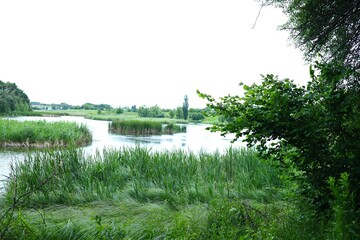 In a tranquil rural setting, a winding waterway flows through verdant grass and reeds, reflecting...