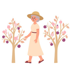 Elderly woman in garden. Senior woman picking apples in autumn park. Happy older lady surrounded by fall trees. Retired woman enjoying outdoor garden walk. Elderly set