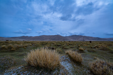 A wide-angle view of a highland grassland with scattered dry tufts of grass under a moody, overcast...
