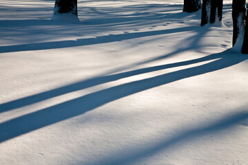 Winter shadows over the snow at Harrington Beach State Park, Belgium, Wisconsin