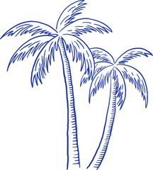 Naklejka na ściany i meble Hand draw palm tree vector illustration. Summer beach vacation clipart in sketch style
