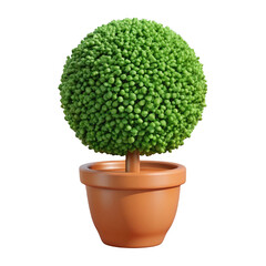 Round Green Boxwood Topiary in Terracotta Pot 3 D Render Isolated on a transparent background image