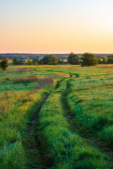 Country road on a meadow with green grass. Picturesque landscape of nature in the countryside in...