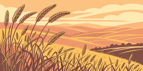 Golden wheat field landscape illustration with rolling hills and dramatic sky