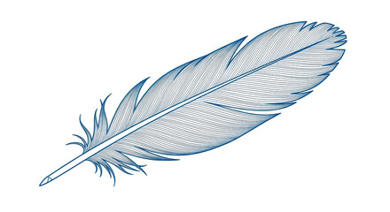 Obraz premium Isolated Feather Illustration
