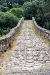 Pont de Pedret, medieval bridge over the Llobregat river,Cercs, Berguedá, Catalonia, Spain