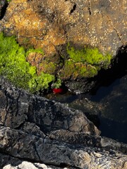 A vivid red towel hangs across a black rocky ledge above the sea, catching sunlight in a rugged coastal area.
