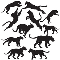 A set of black Tiger silhouette in various dynamic poses, perfect for use in wildlife themed design, educational materials, logo, stickers, background, decorations etc