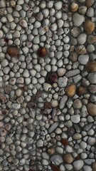 Top view of a decorative pebble mosaic floor featuring round white, brown, and grey stones in organic arrangement.