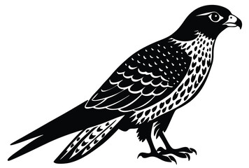 Obraz premium Falcon silhouette vector elements, Flying falcon flat icon illustration