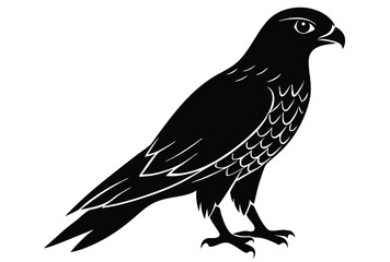 Fototapeta premium Hawk silhouette vector elements, Flying hawk bird flat icon illustration.