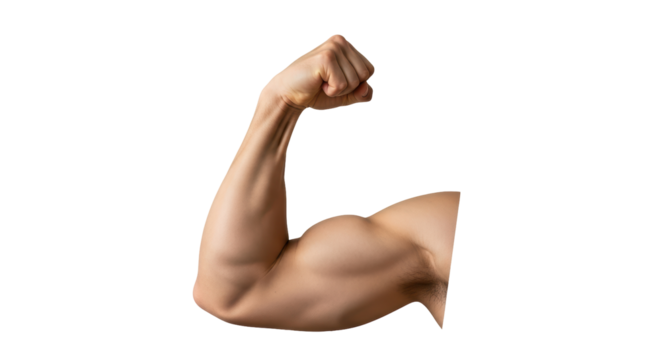 Isolated Muscular Arm Flexing